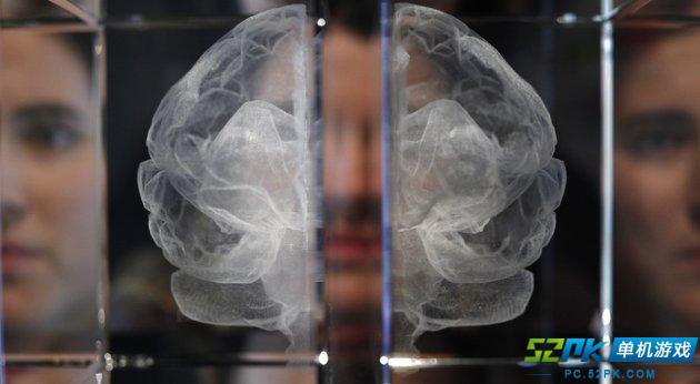 英国举办人脑展览 爱因斯坦大脑切片亮相