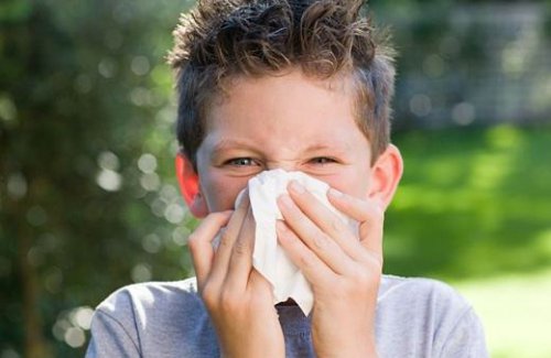 过敏性鼻炎怎么缓解 这些小技巧能减轻鼻炎复