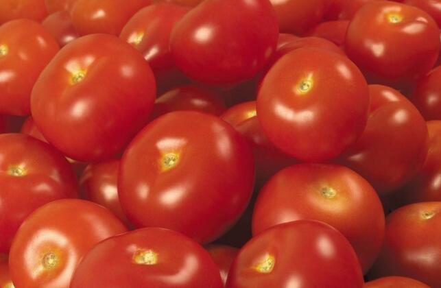 正常人每天吃黄瓜西红柿能减肥吗 黄瓜能减肥吗