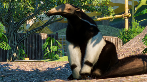 《动物园之星》全新DLC发售 入驻美洲豹等五种南美动物