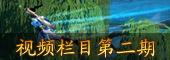 笑傲江湖PK视频栏目第二期 刀光剑影的世界
