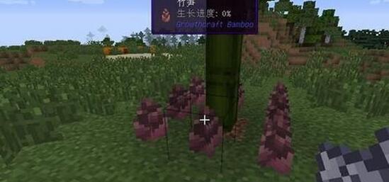 我的世界竹子怎么种 我的世界竹子正确种植方法