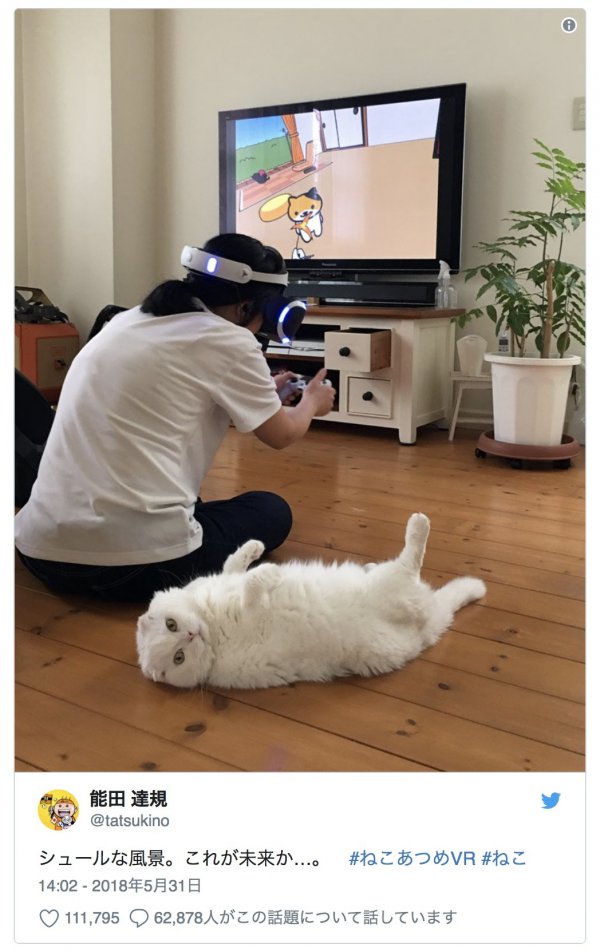 《猫咪后院》的VR版曝光