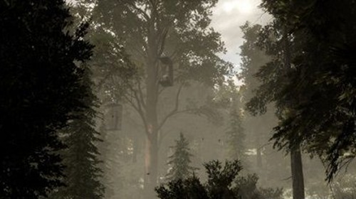 VR休闲应用《A Walk in the Woods》登陆Steam