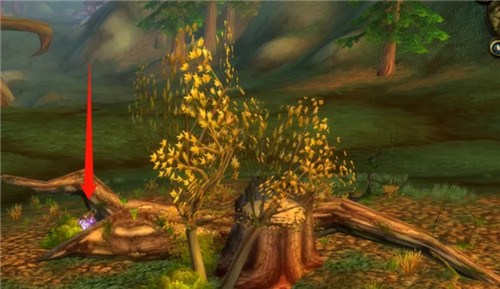阿克蒙德世界之树图片